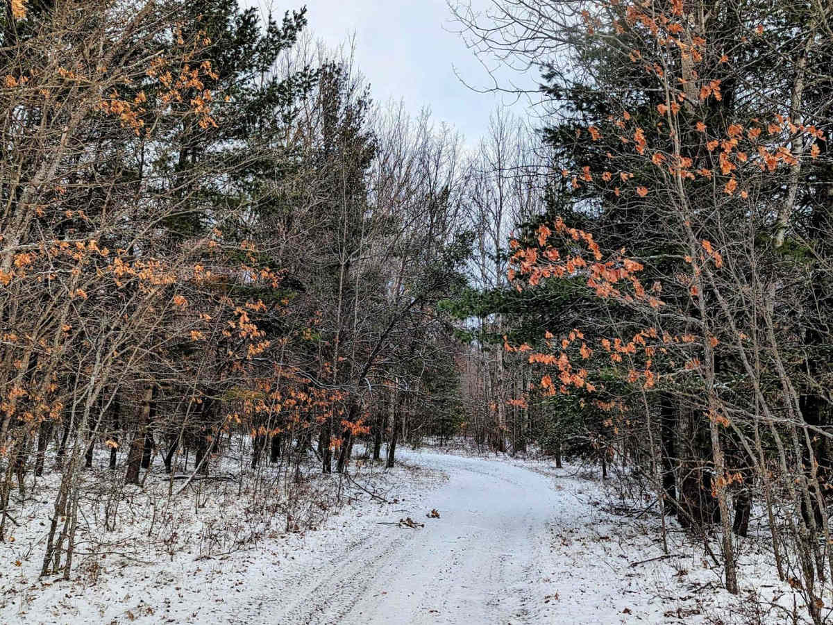 Cuttin Lake Road photo 4