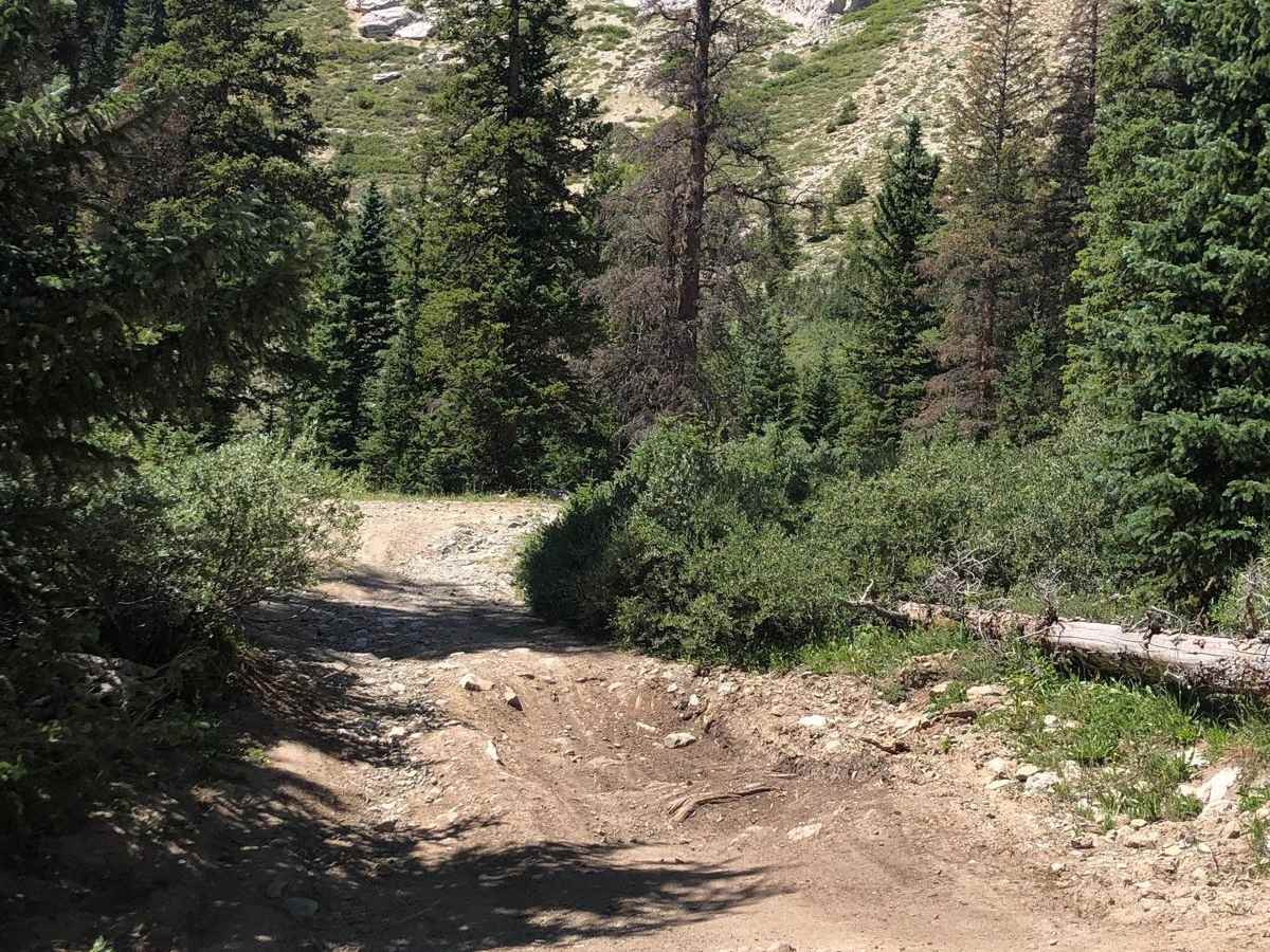 Grassy Gulch Road FS 349 photo 4
