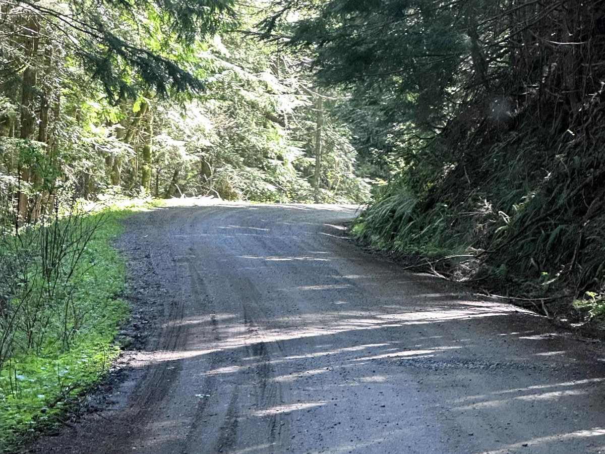 Evans Creek Campground/Trailhead photo 4