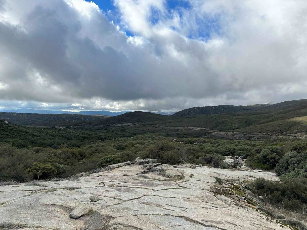 Wrangler Trail (901) trail photo