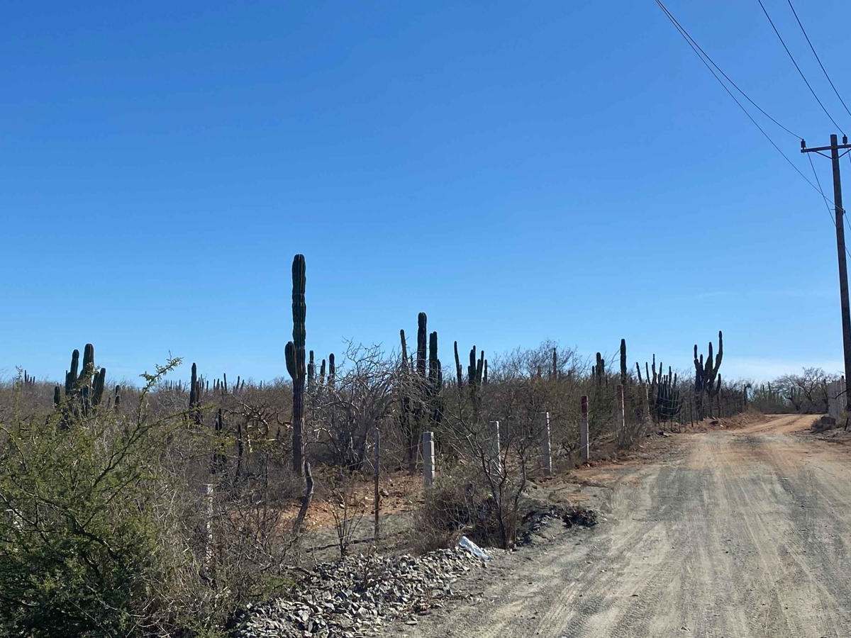 Rancho El Ademado Road photo 2
