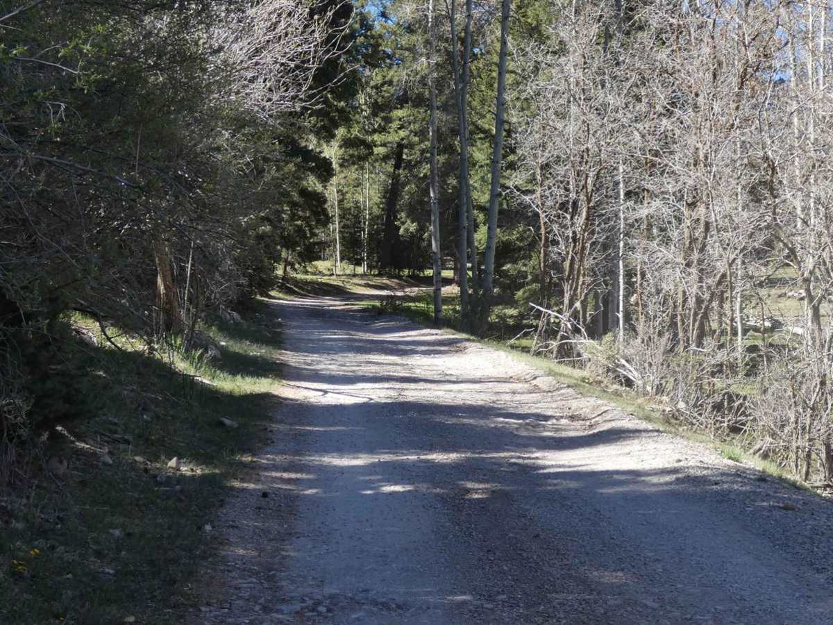 Benson Ridge photo 3