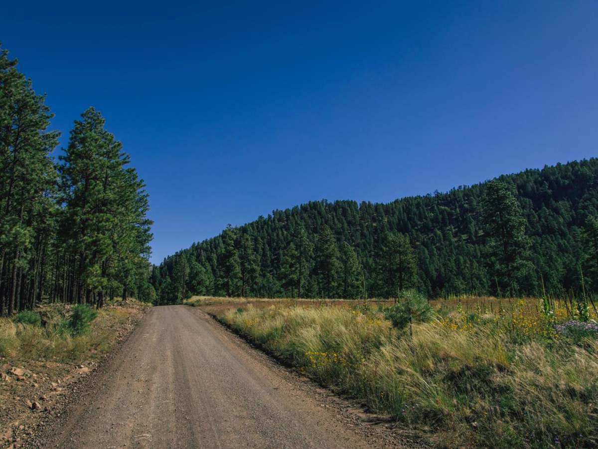 Schultz Pass photo 5