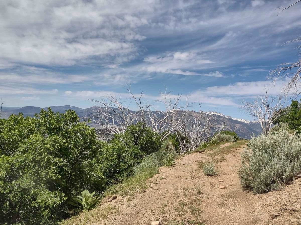 Smith Canyon Access (FS# 41190) photo 3