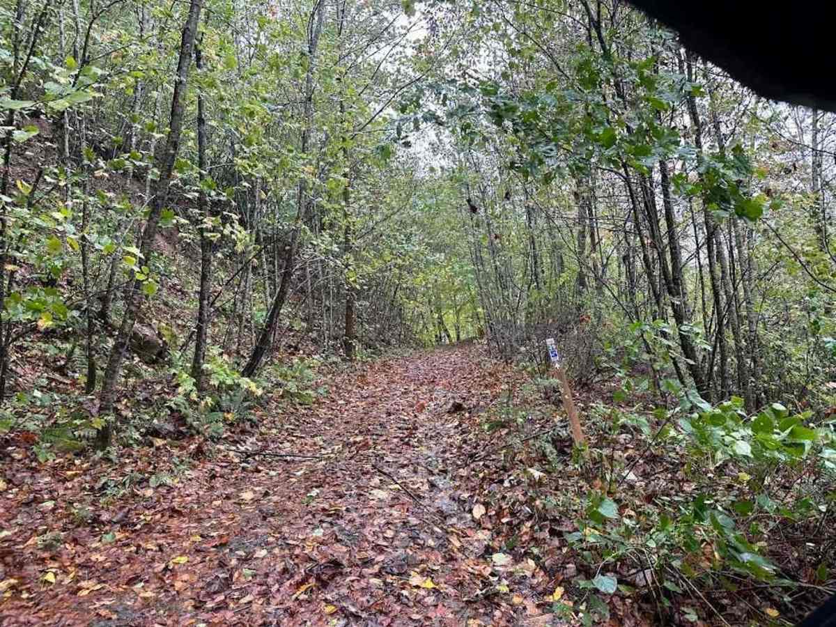39 Blue trail photo