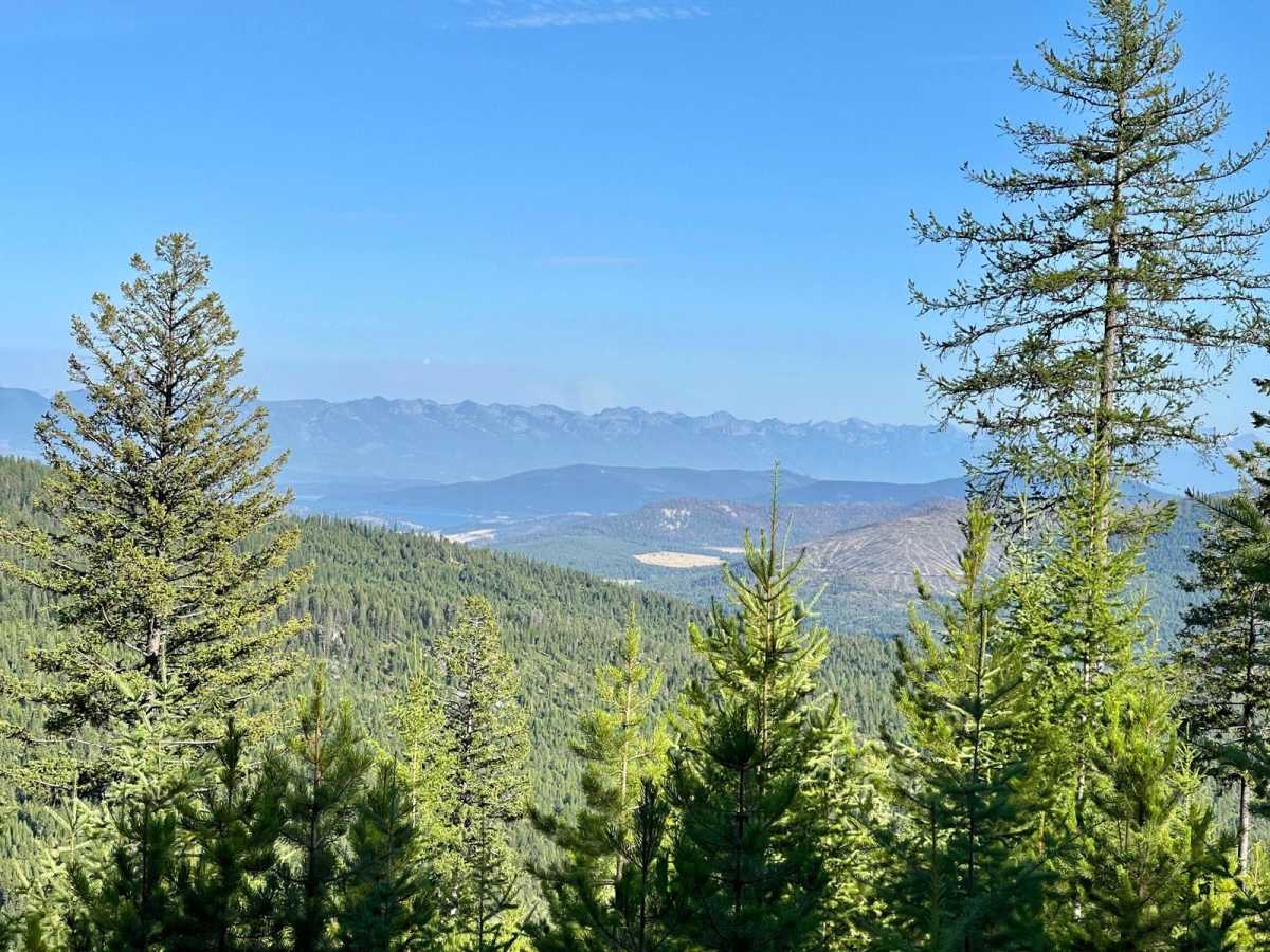 Low Side Saddle trail photo