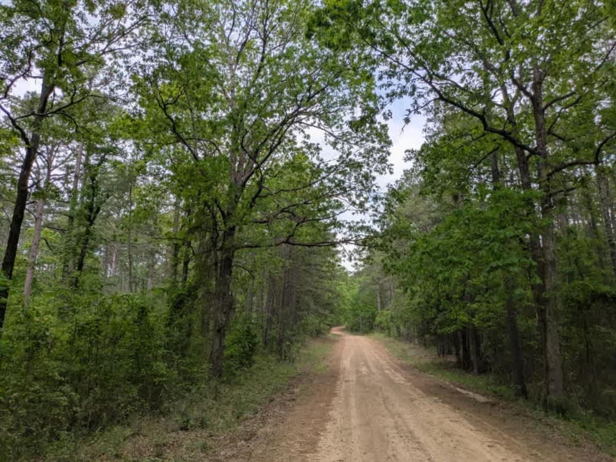 Carter Mountain photo 6