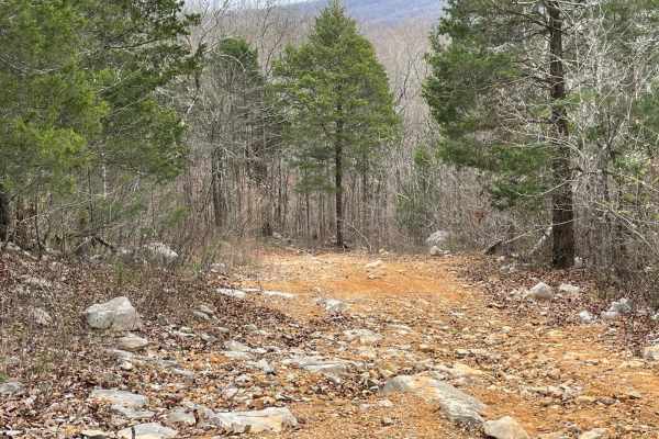 Evan's Ridge