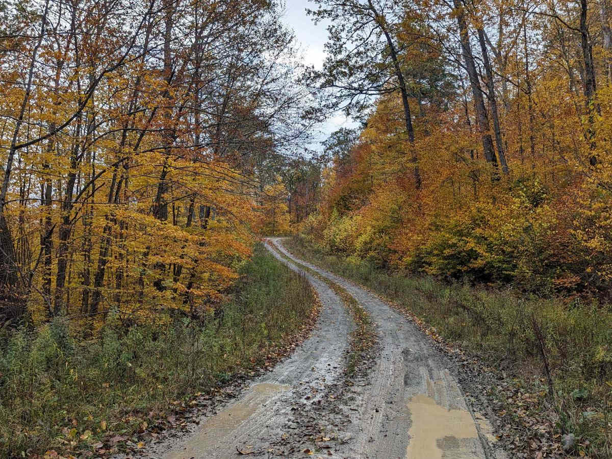 Cowdry Hollow to Comstock Hollow Road photo 3