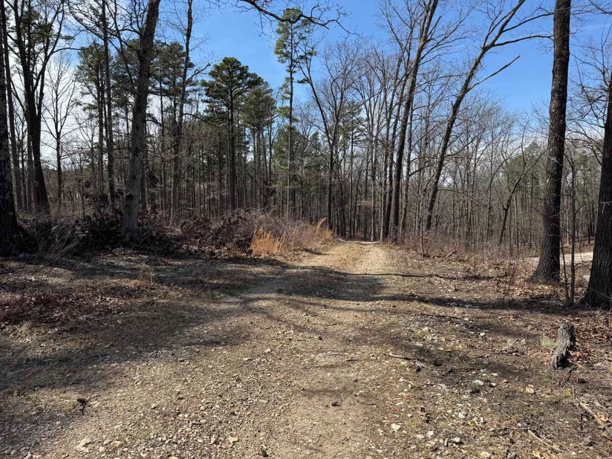 Prieskon Hollow - FSR 143 photo 2