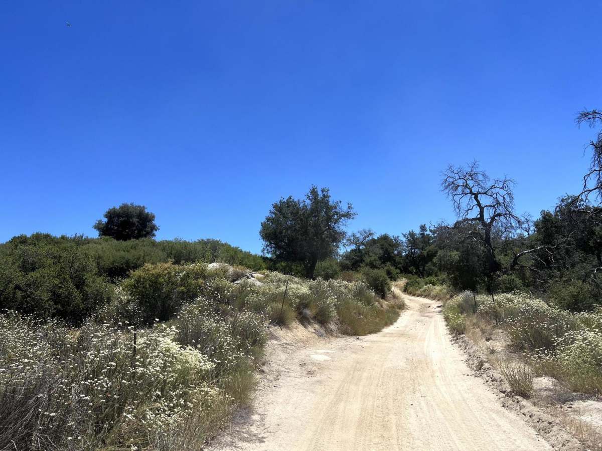 Corral Canyon Road photo 2