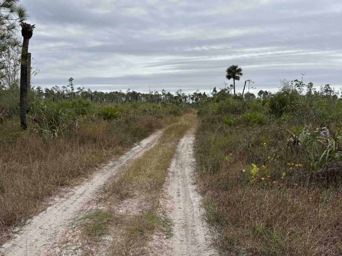 Shortcut Trail photo 6