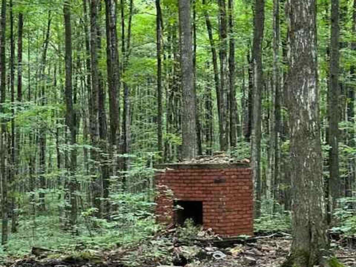 Wilderness Road photo 5