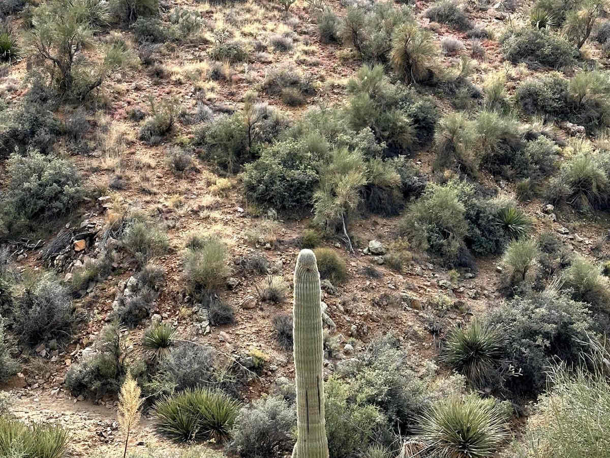 Aquarius Traverse photo 3