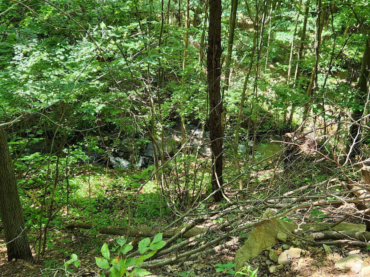 Trail 2E - Rock Run Recreation photo 2