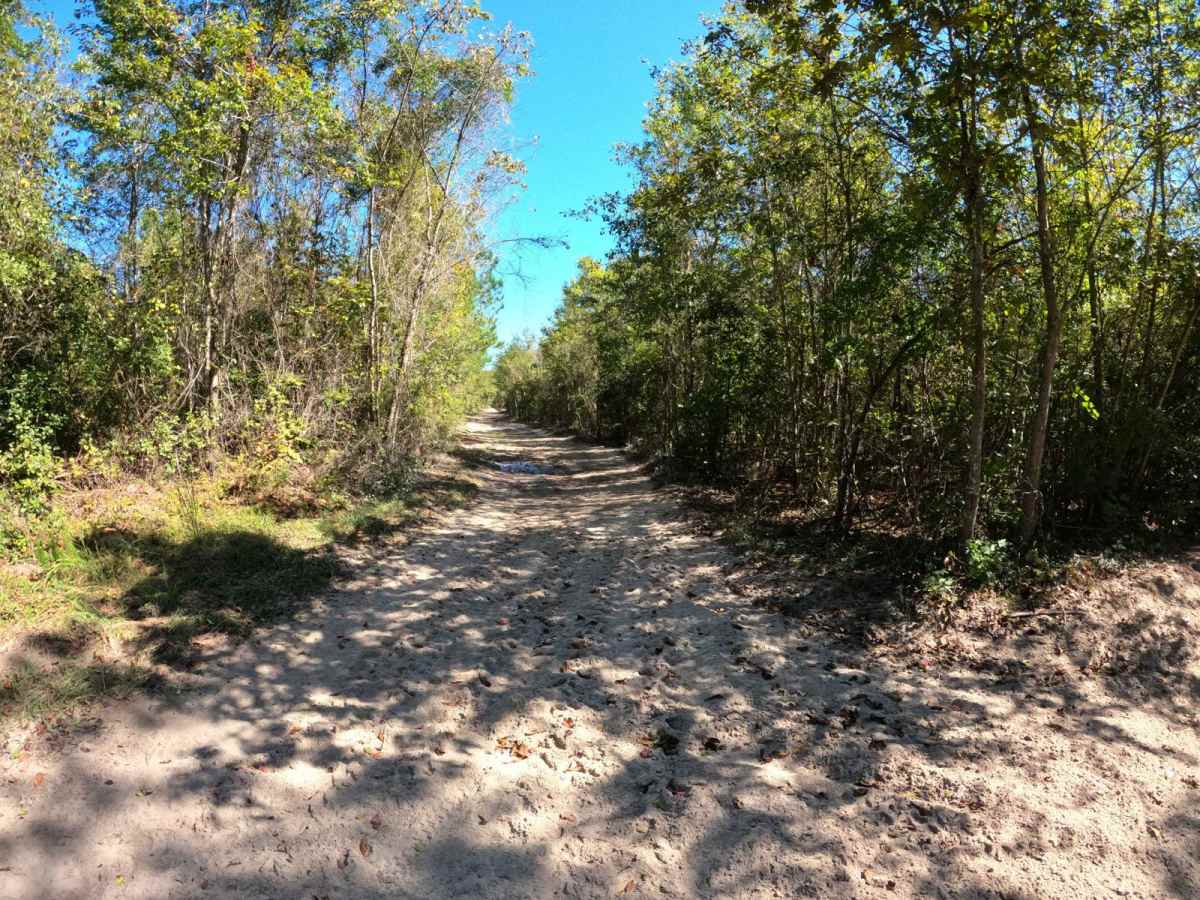 Barnhill Road trail photo