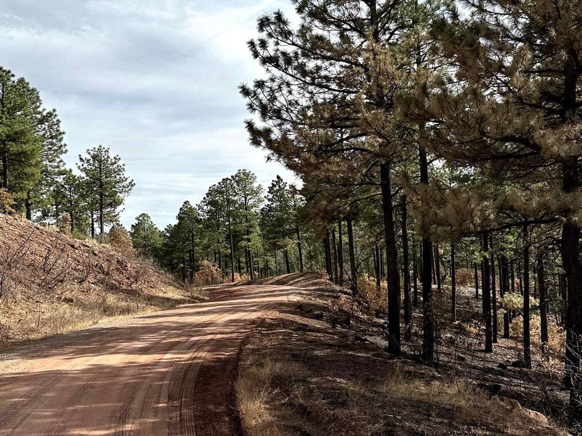 Red Canyon Campground photo 3