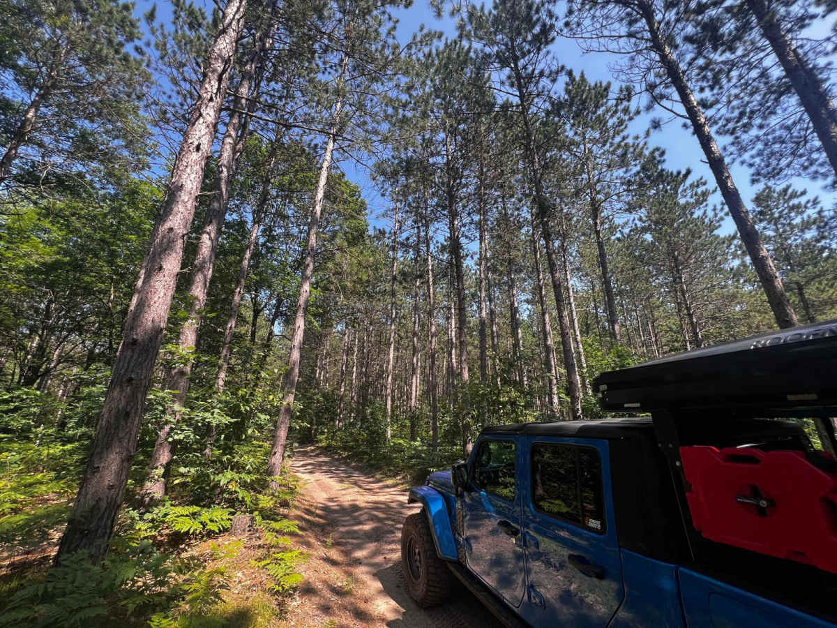 Pinewood Connector Trail trail photo