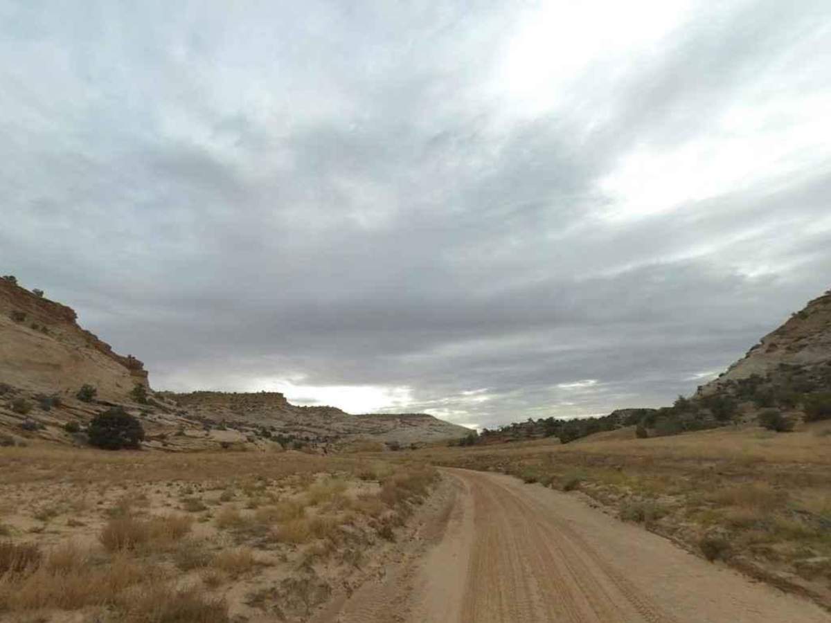 North Fork Coal-BLM638 photo 3