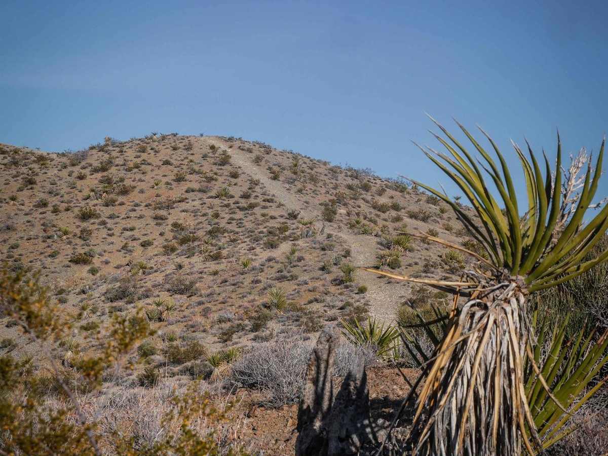 Rollercoaster Ridge ATV Trail photo 5