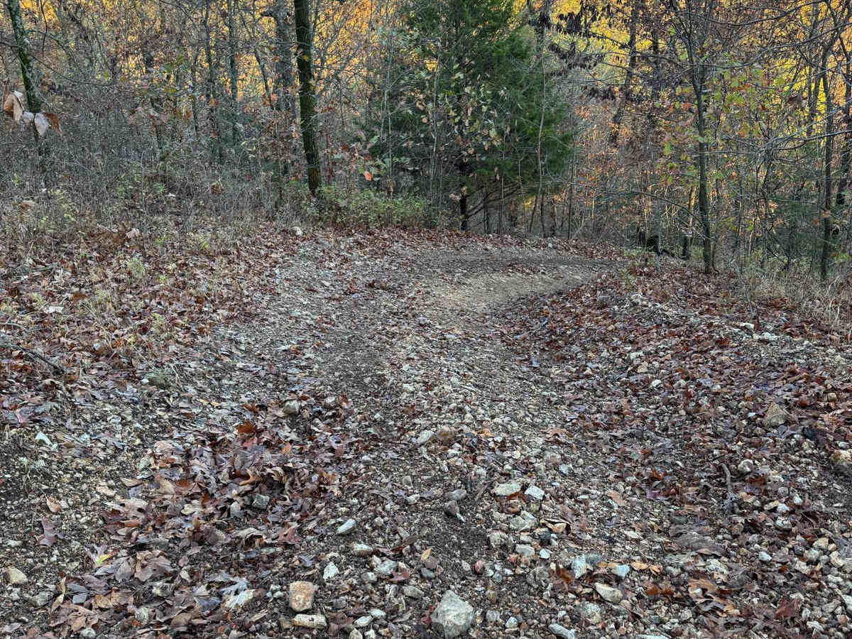 Yellow 116 trail photo