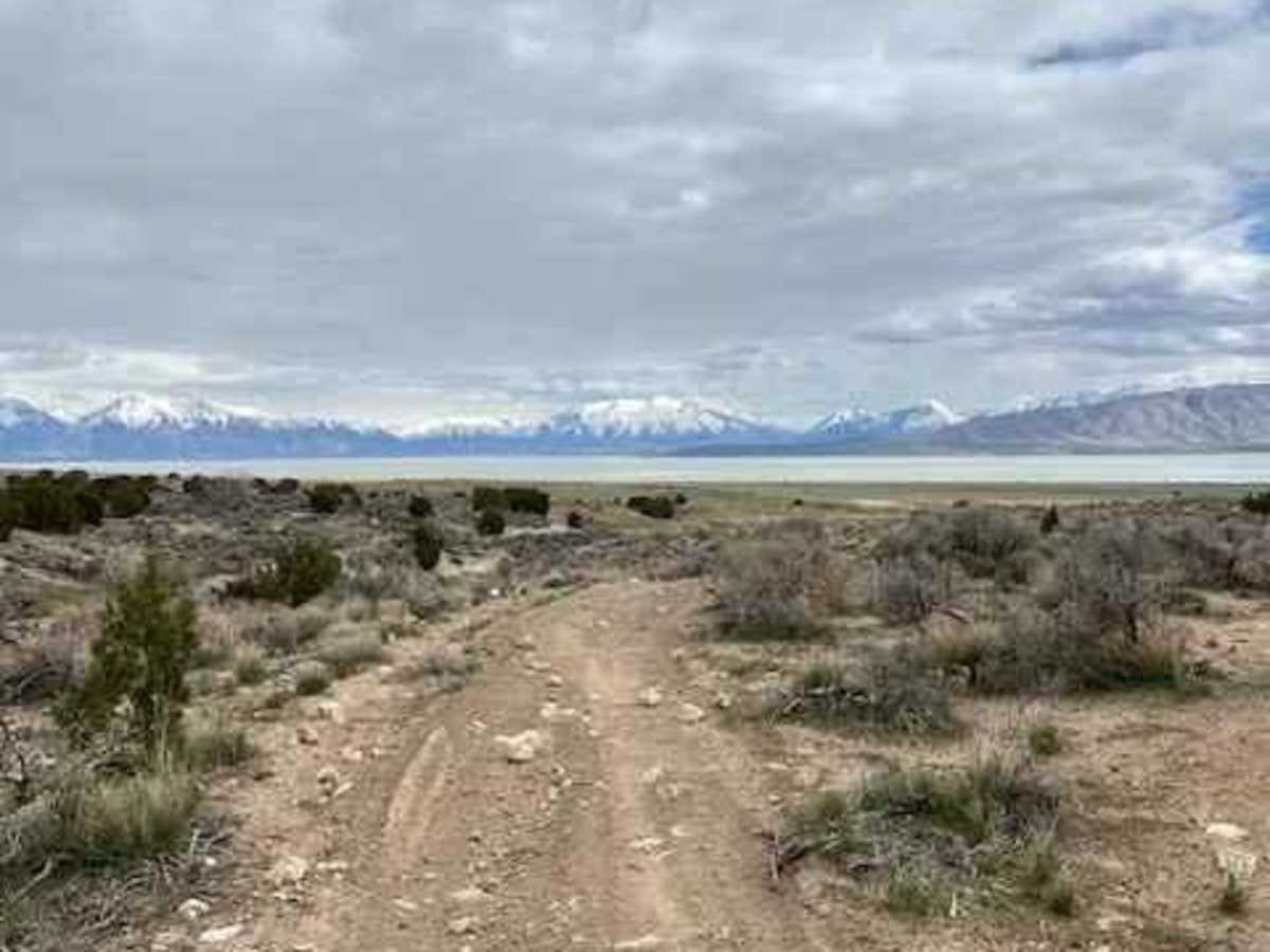 Gunsight photo 6