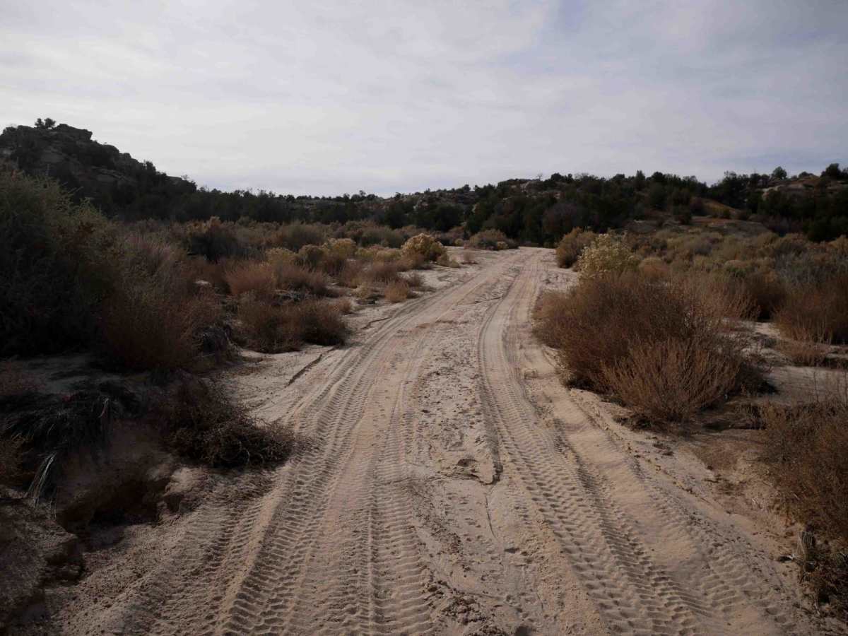 Skinny Canyon photo 3