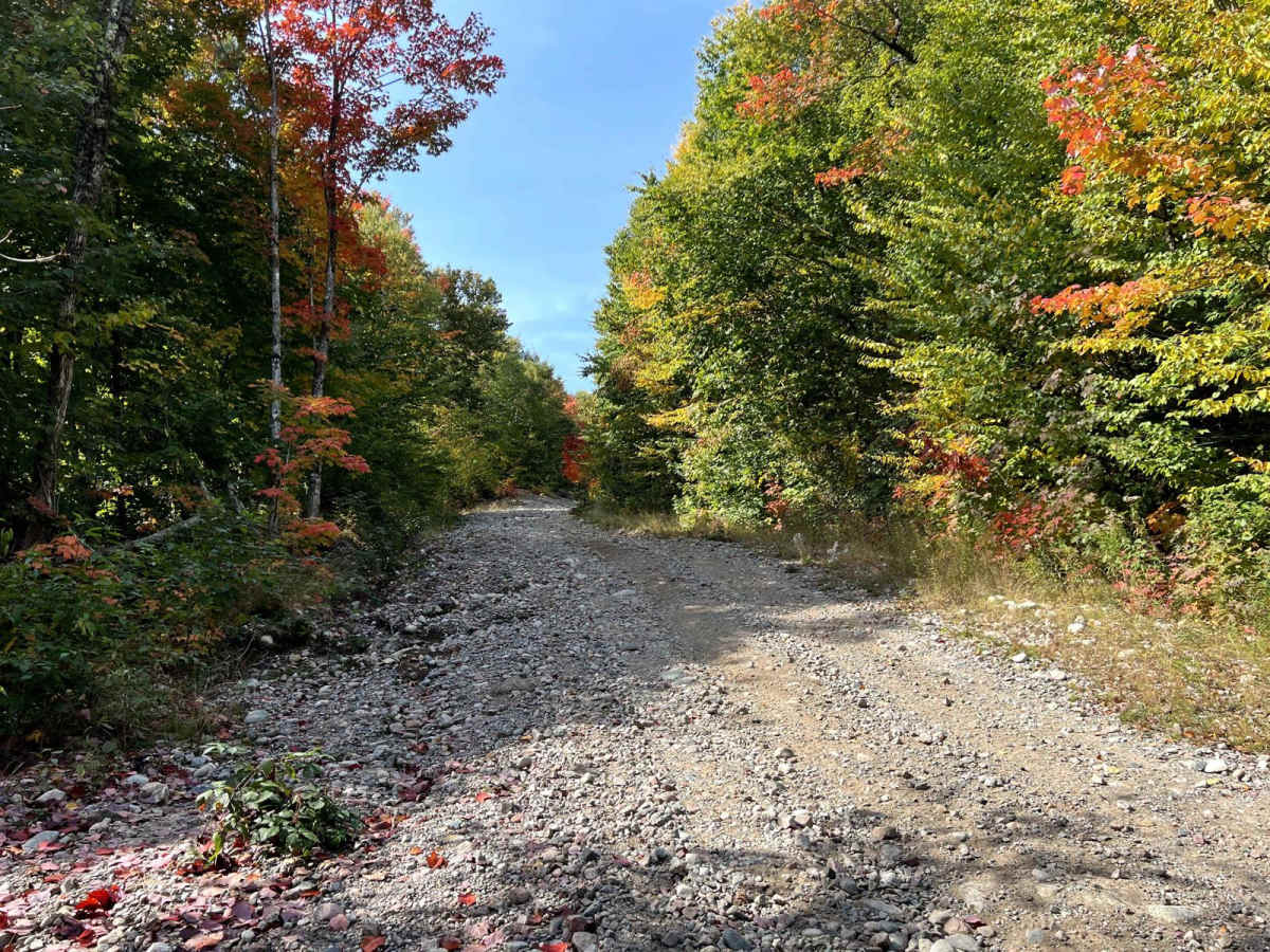 Rudy-Vera Memorial Trail photo 3