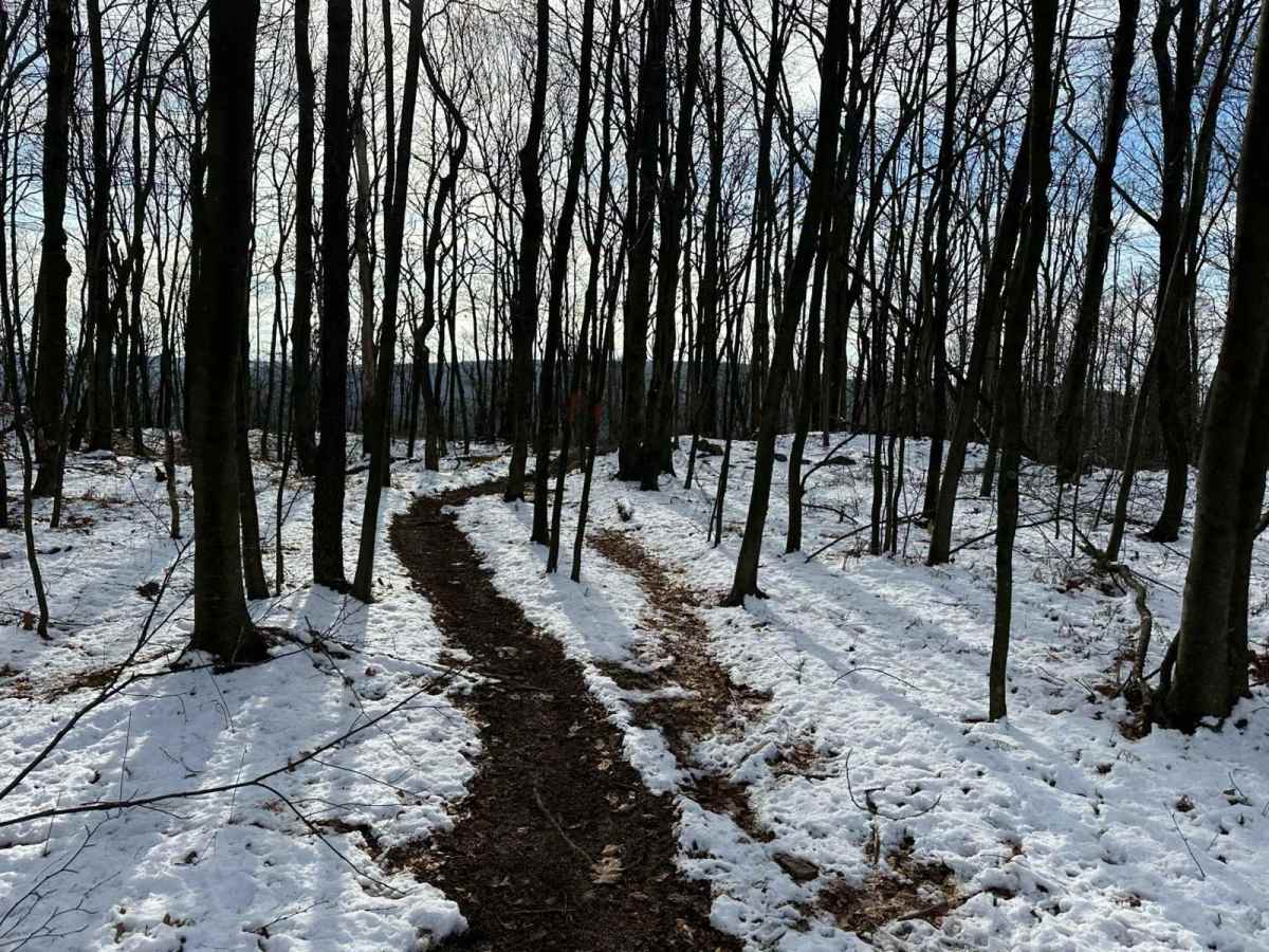 St. Keirns Single Track 6 photo 5