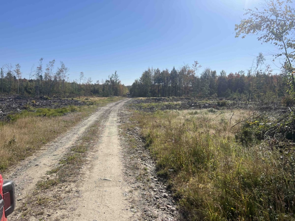 Scott Road Spur photo 2