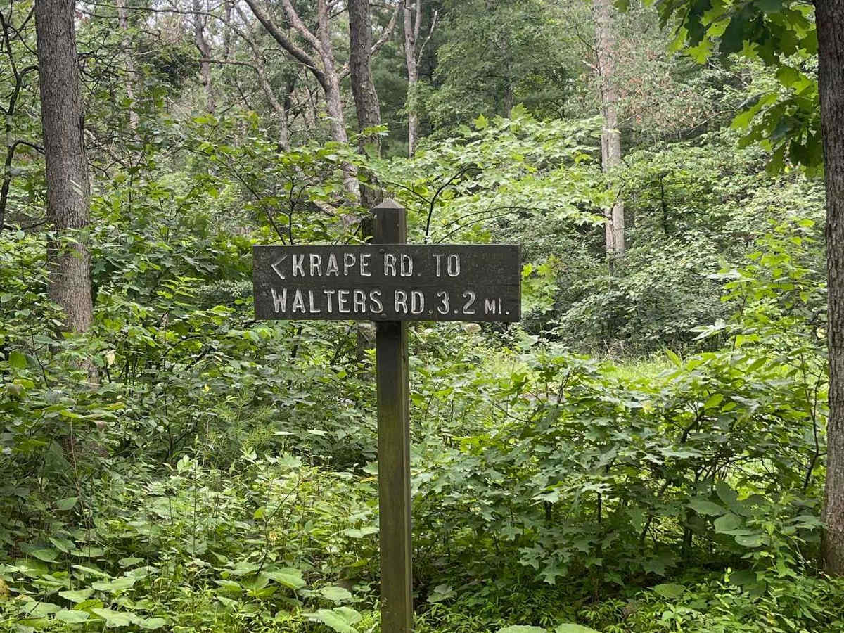 Walters Road photo 5