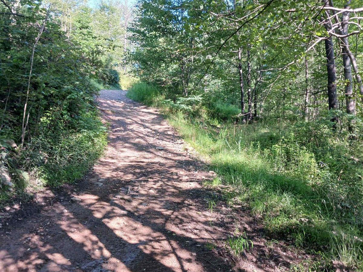 Trail 12P - Rock Run Recreation Area photo 4