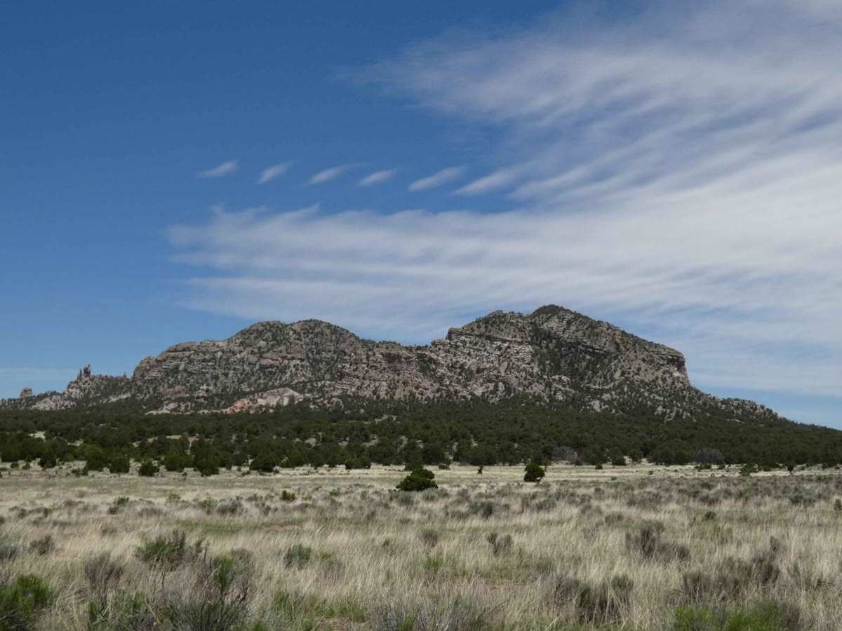 Lone Mountain FS312 photo 4