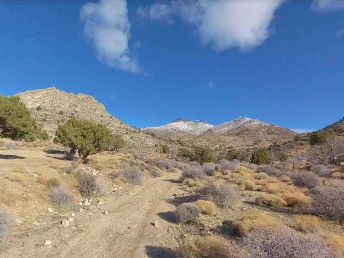 BLM30085 photo 4