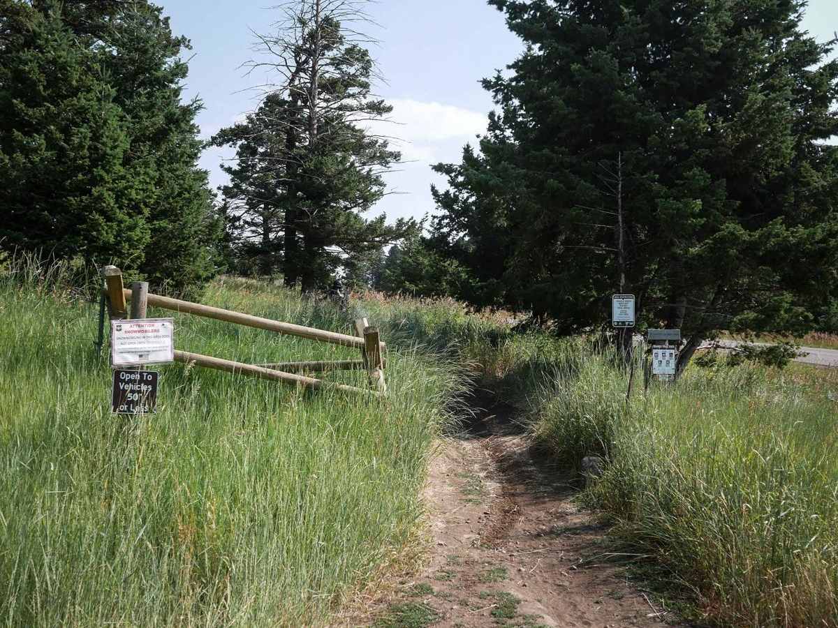 Fairy Creek - FS 500 trail photo