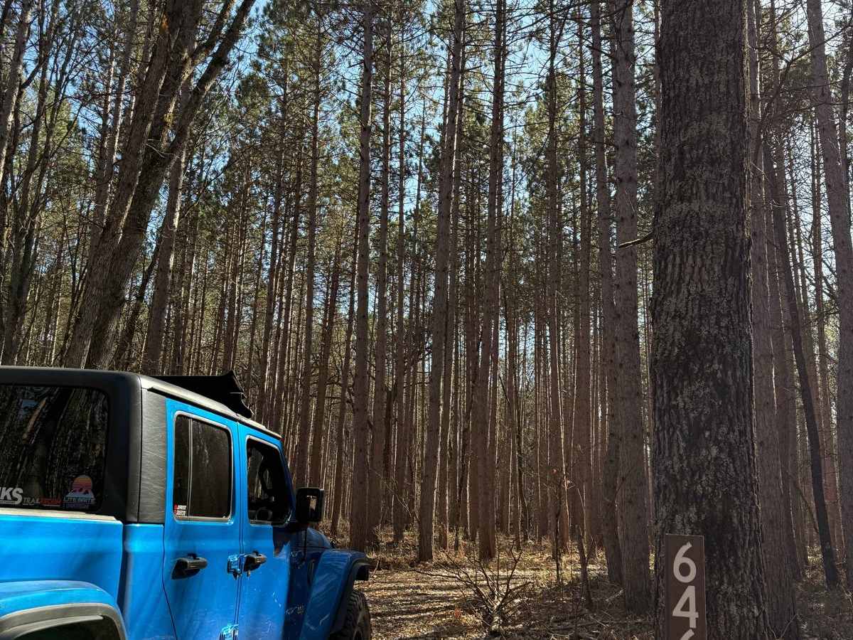 NFS 6462 trail photo