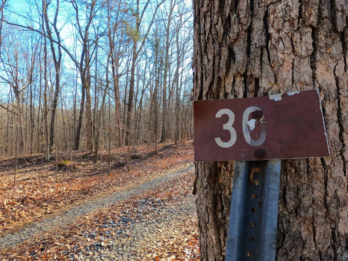 Dodd's Ridge Road - FS 305 photo 2