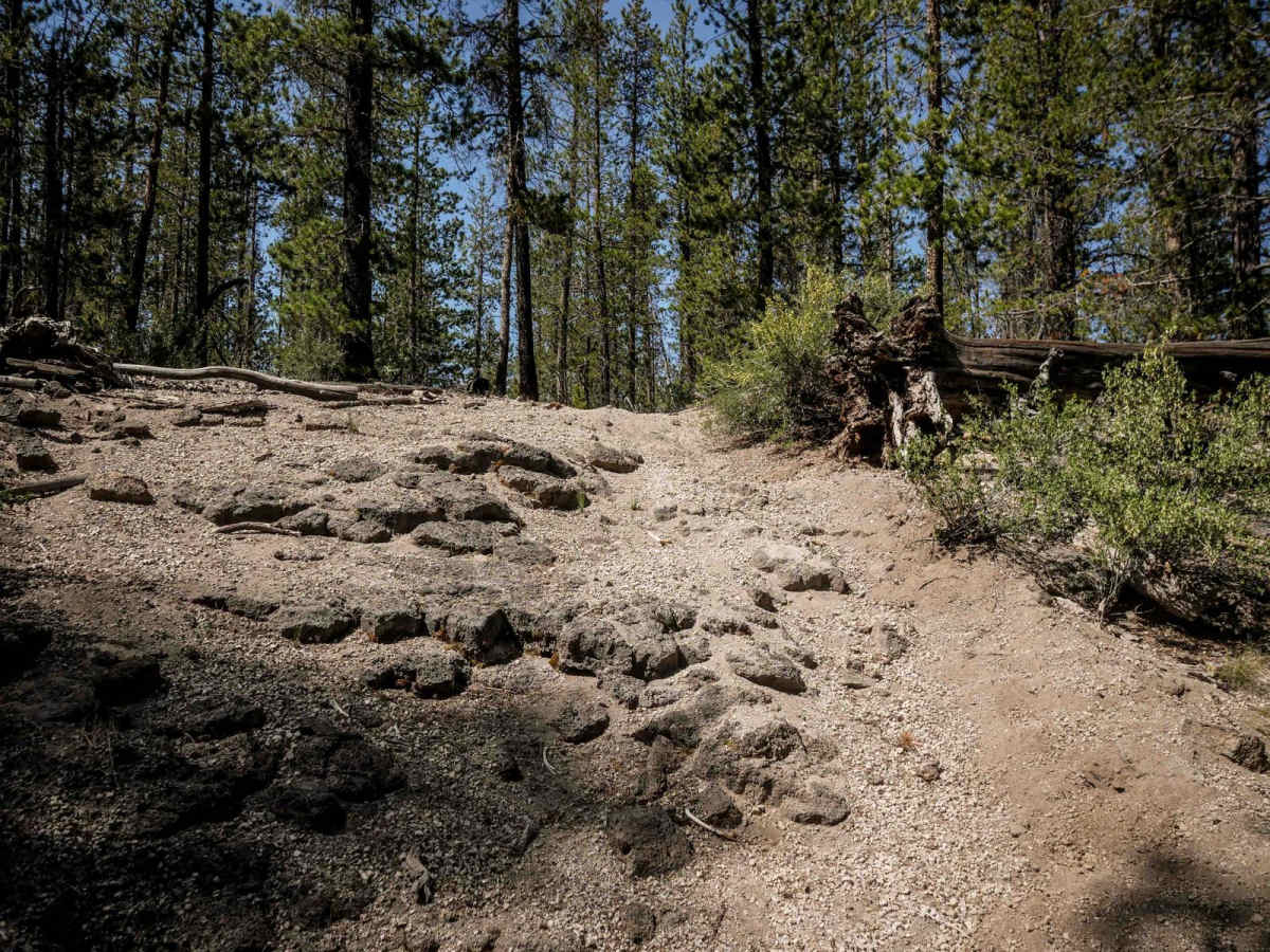 81 trail photo