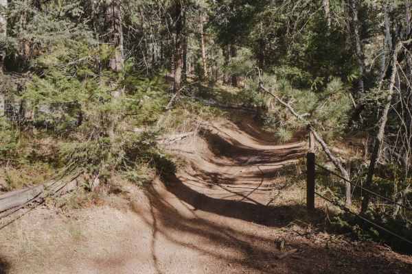 657 Gramps ATV Trail