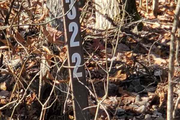 Trail 7322