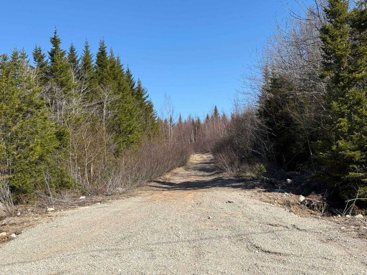 Tote Road photo 2