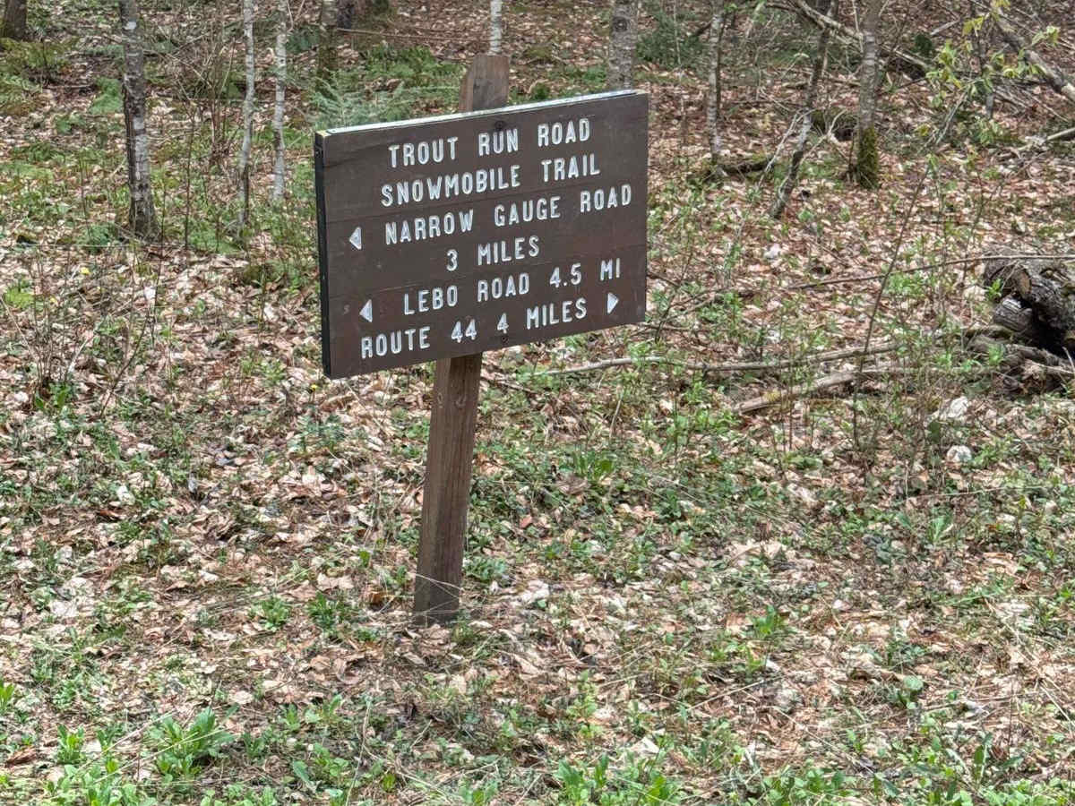 Trout Run Road North photo 5