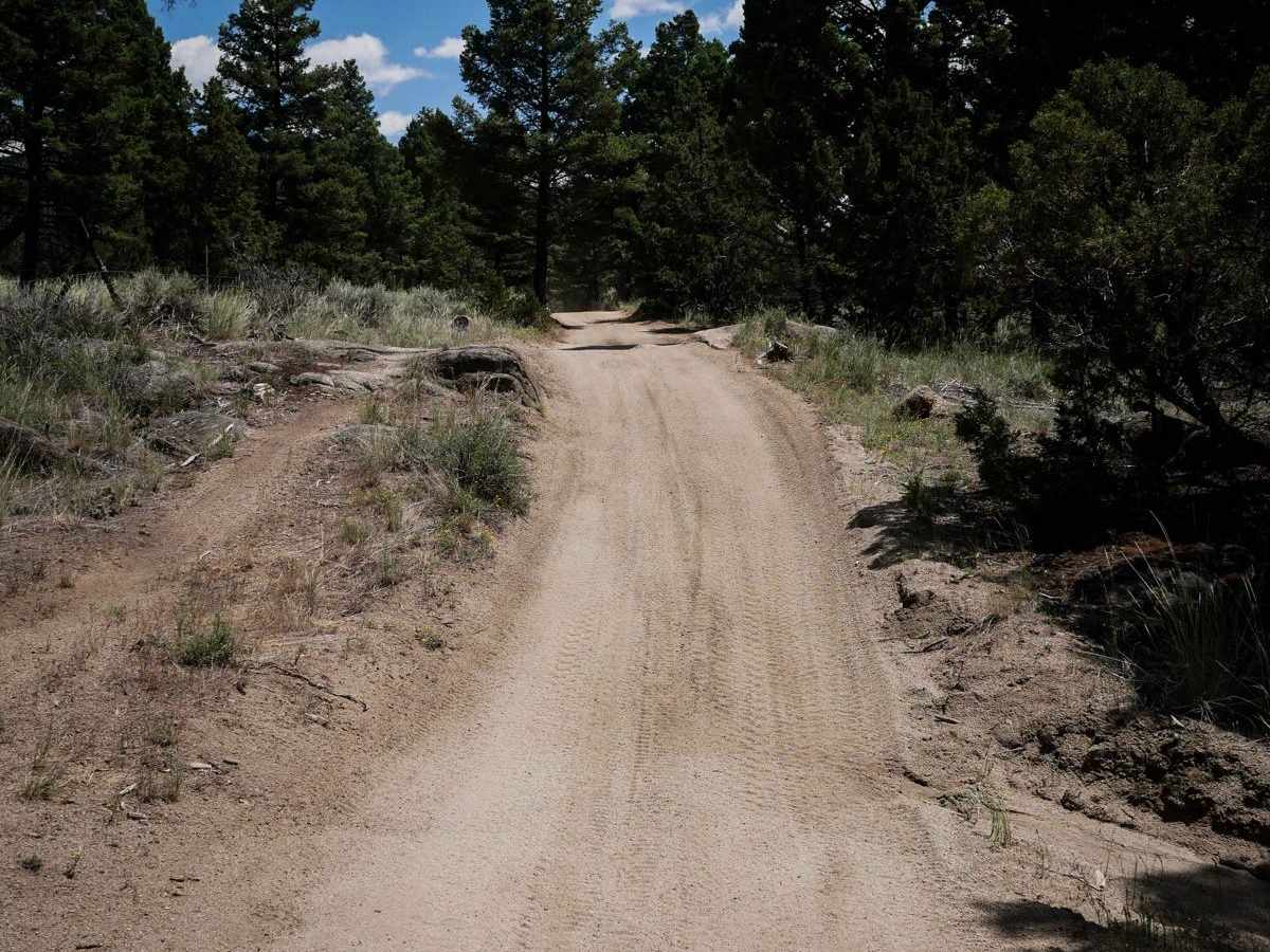 BLM 10 photo 4