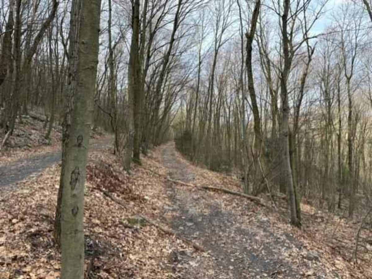 Tower City 7 trail photo