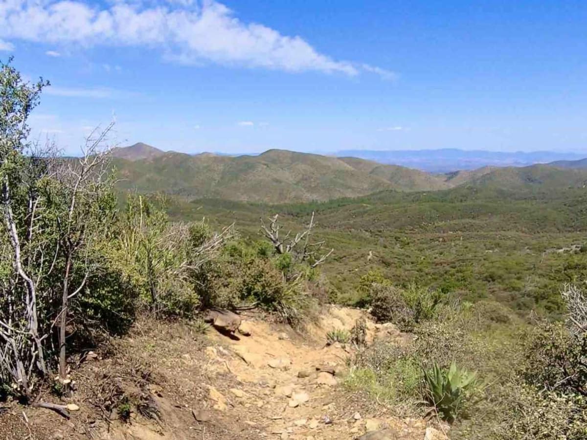 Arrastra Creek photo 3