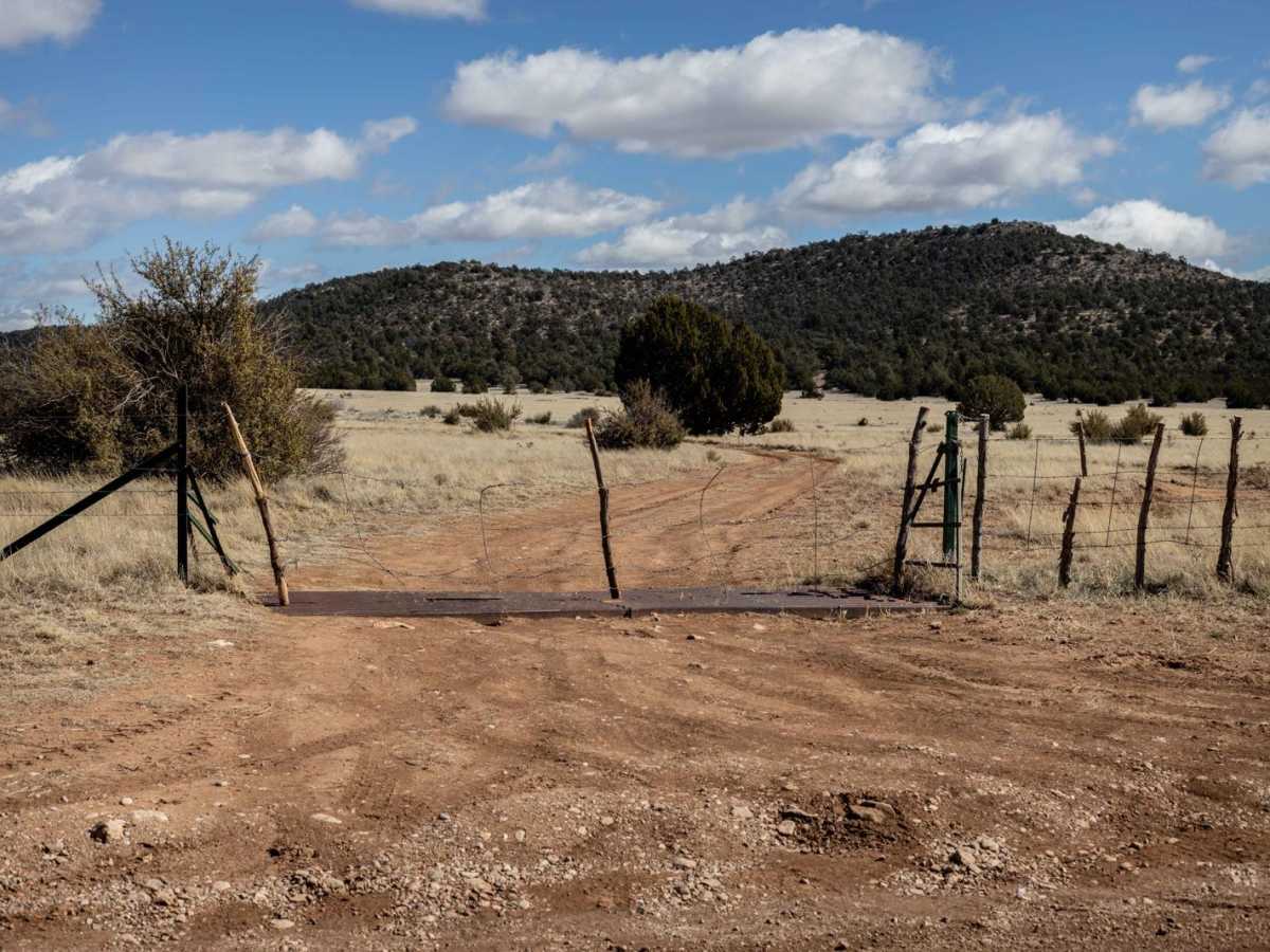 Section5Alive trail photo