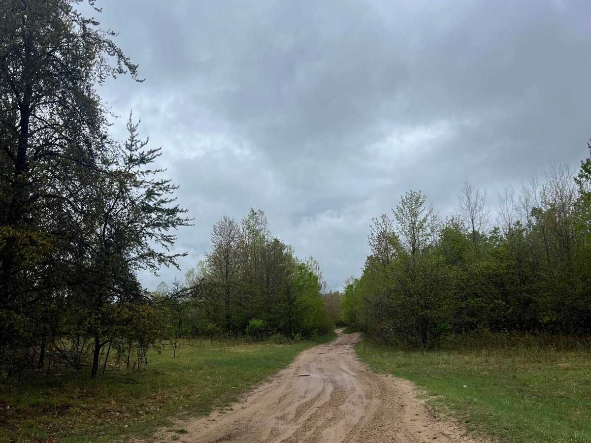 No. 10 Road Loop photo 3
