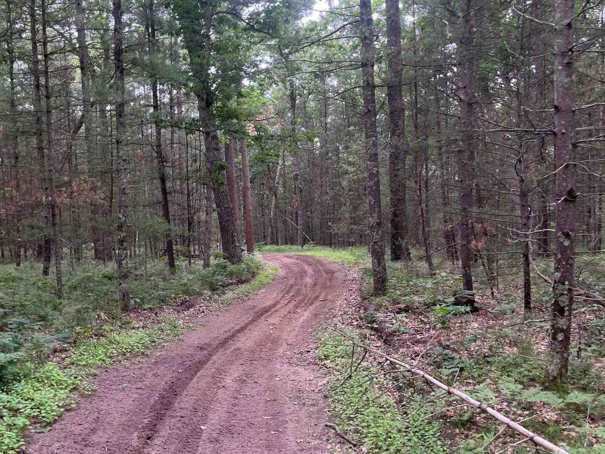 Holton Loop Motorcycle Trail South photo 4
