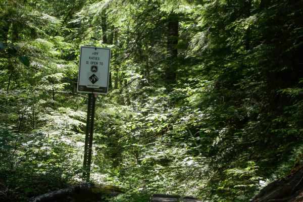 Katies #89