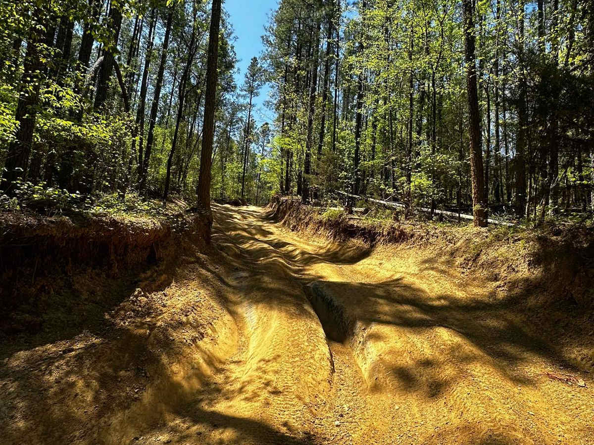 Trail 4 photo 4